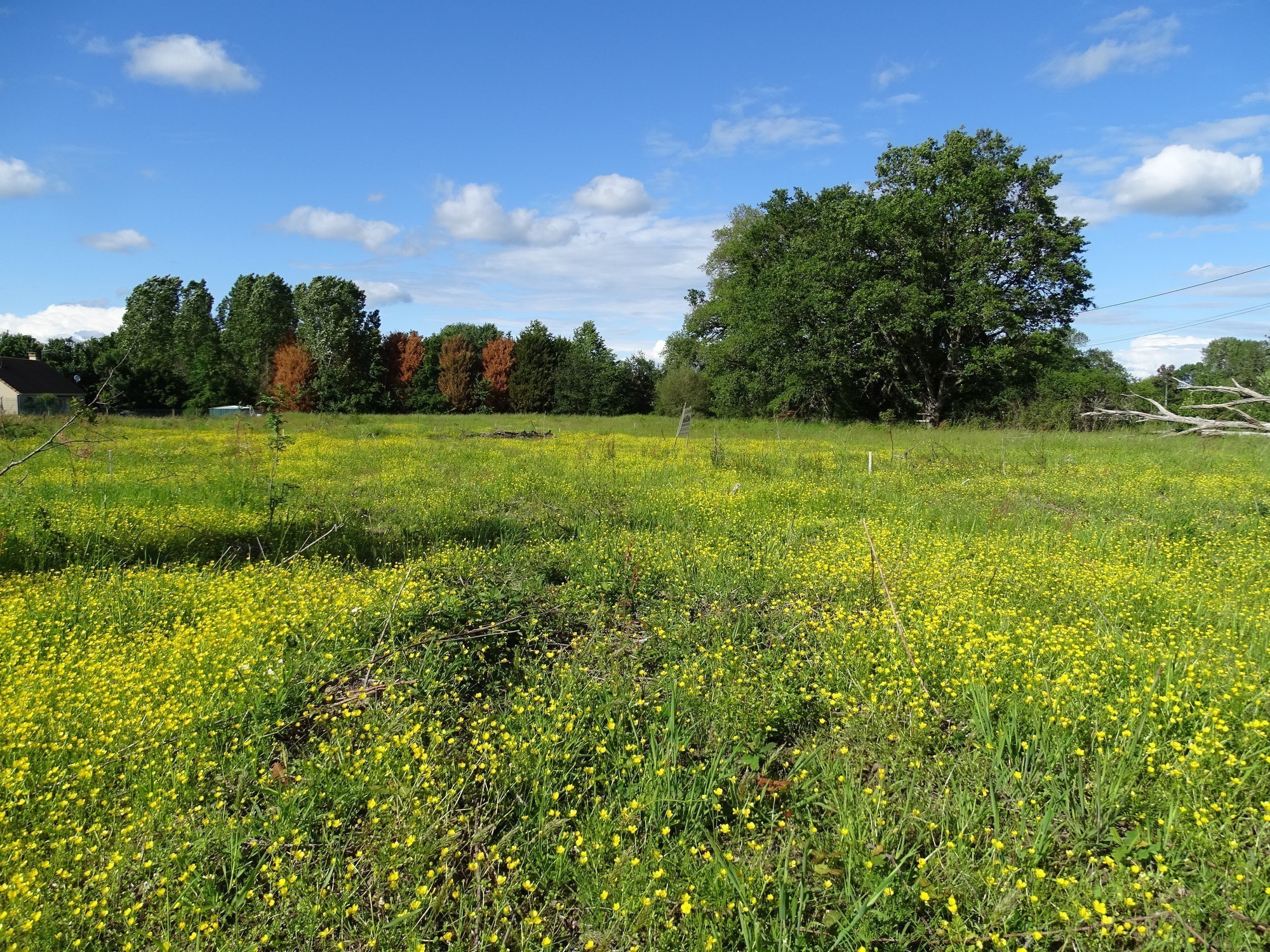 Terrain à bâtir — photo 1
