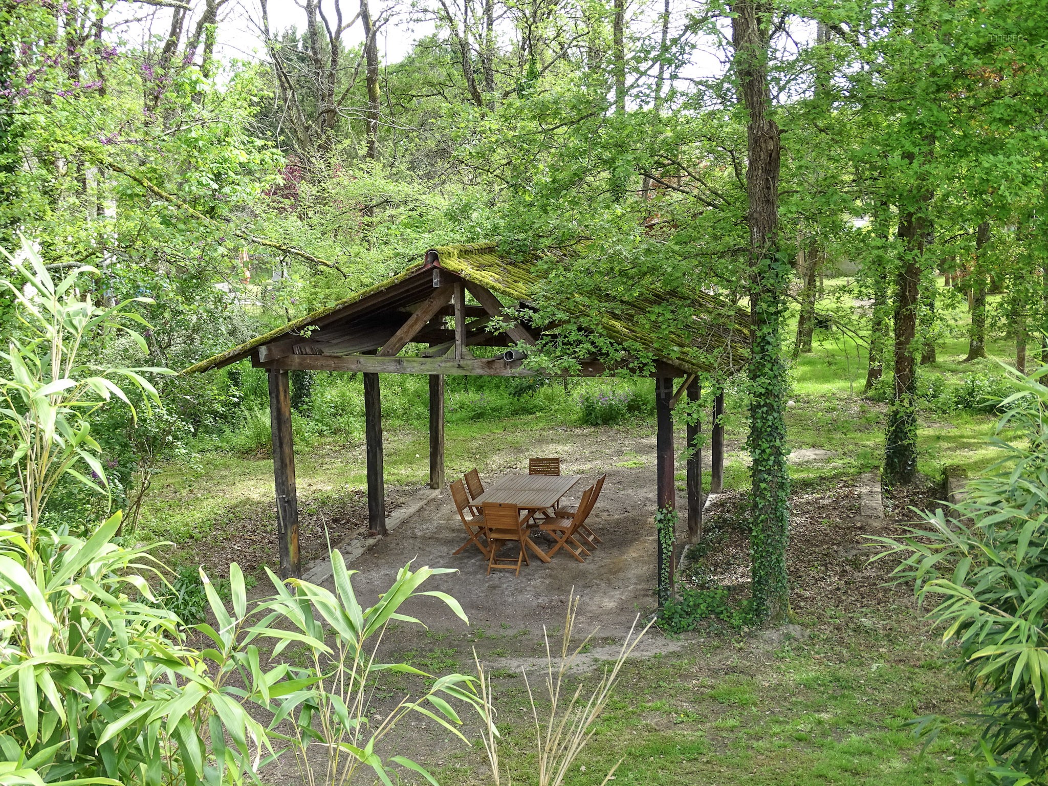 Pavillon de 219 m2 sur son parc boisé — photo 9