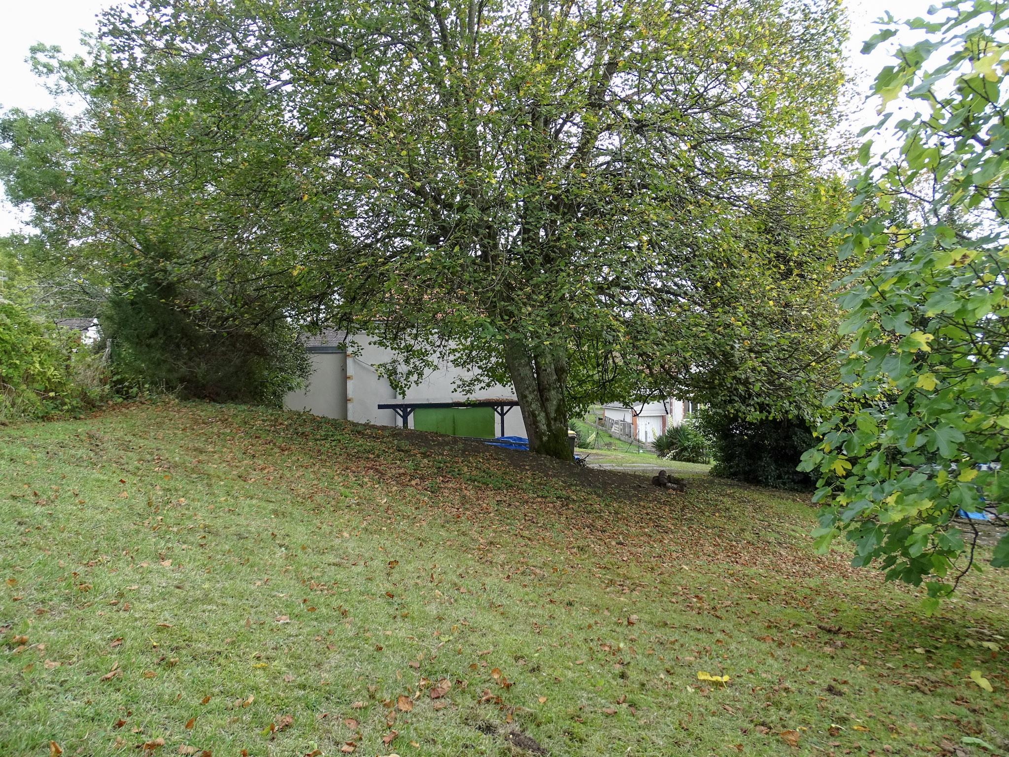 Mennetou-Sur-Cher : maison à vendre — photo 9