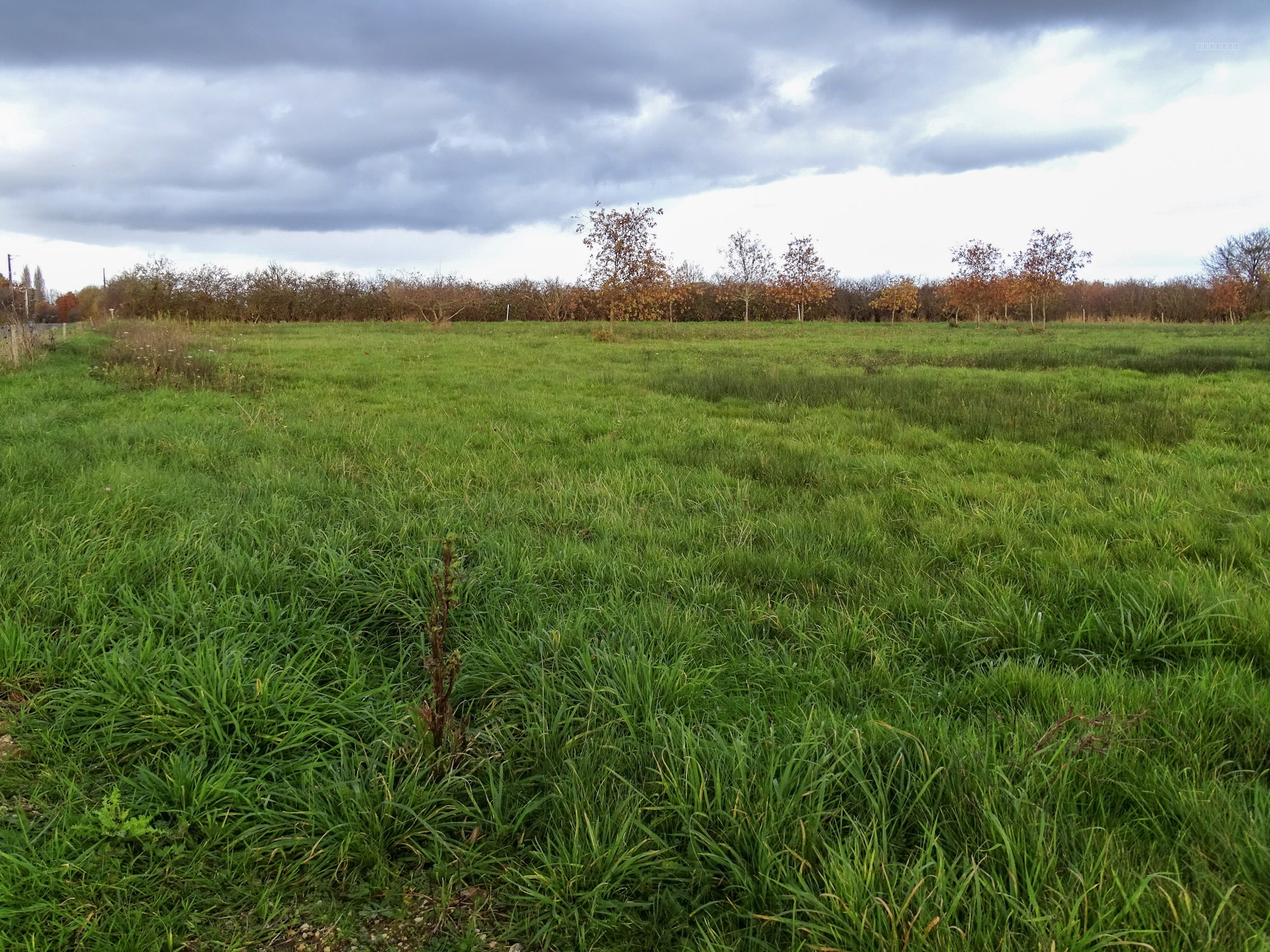 Terrain à bâtir — photo 1