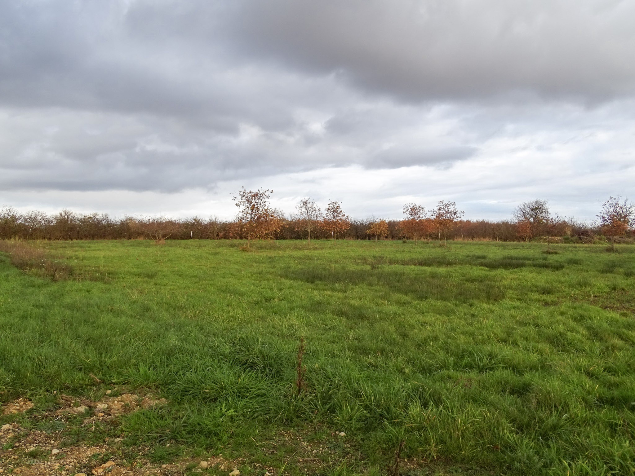 Terrain à bâtir — photo 2