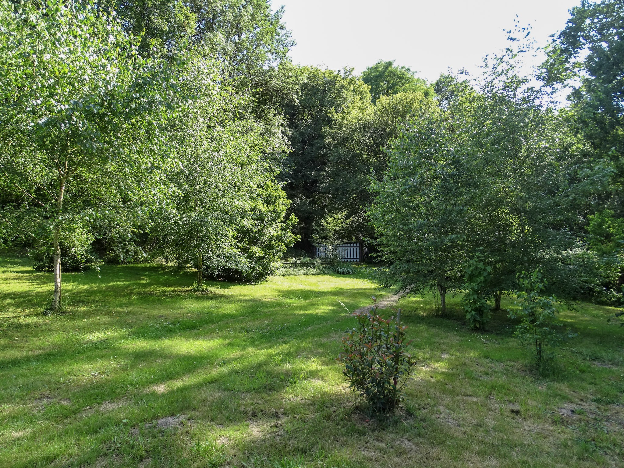 Terrain de loisir — photo 6