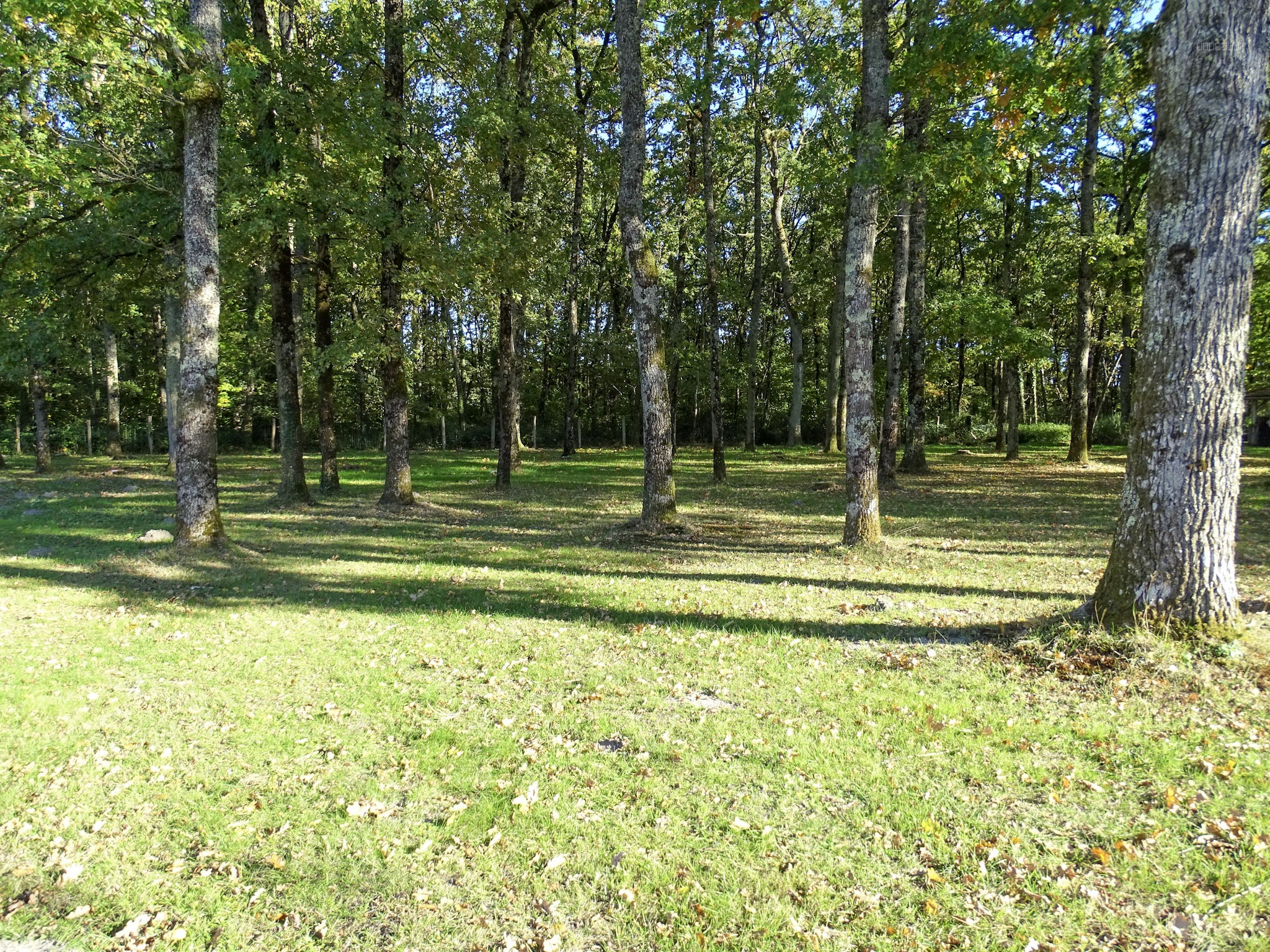 Villa de 153m2 — photo 13