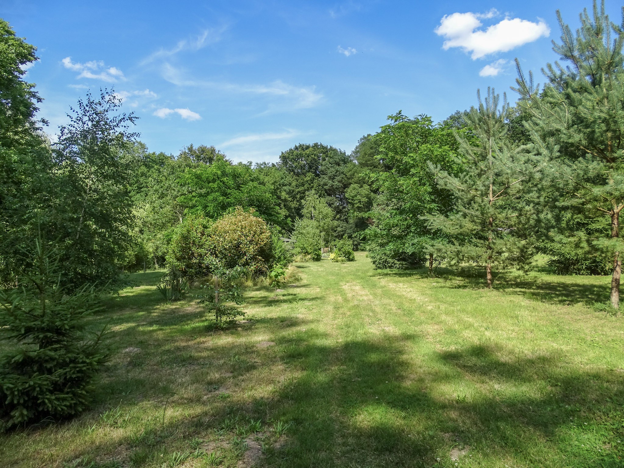 Terrain de loisir — photo 15