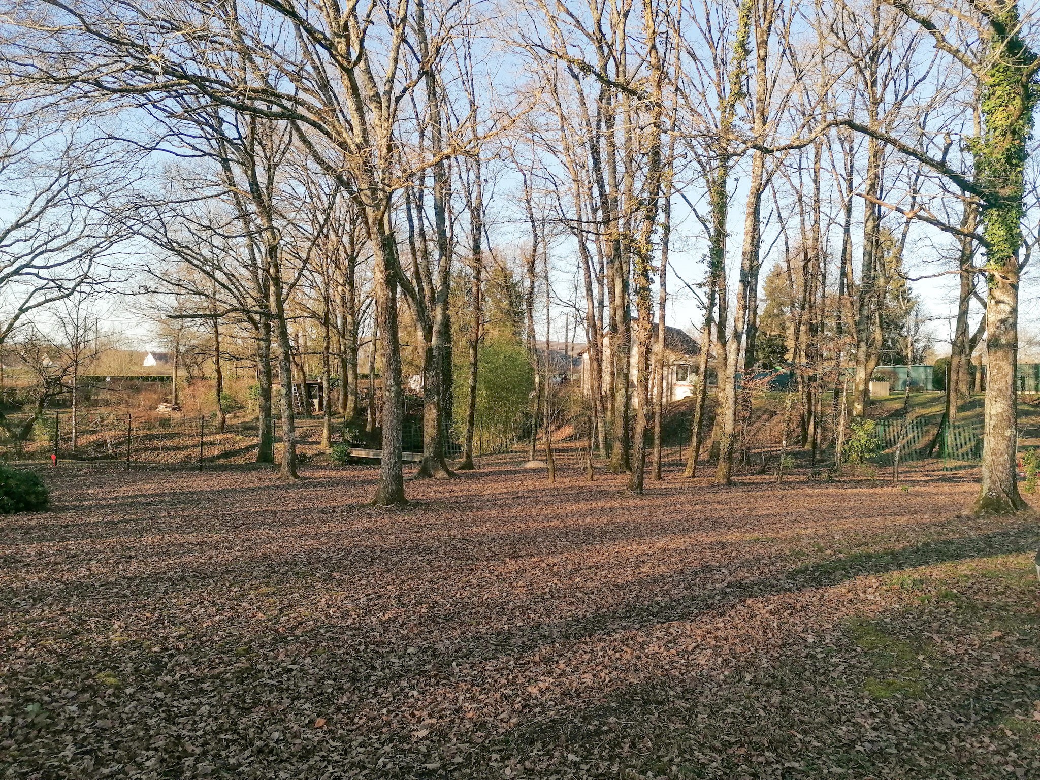 Romorantin-Lanthenay : terrain à bâtir — photo 1
