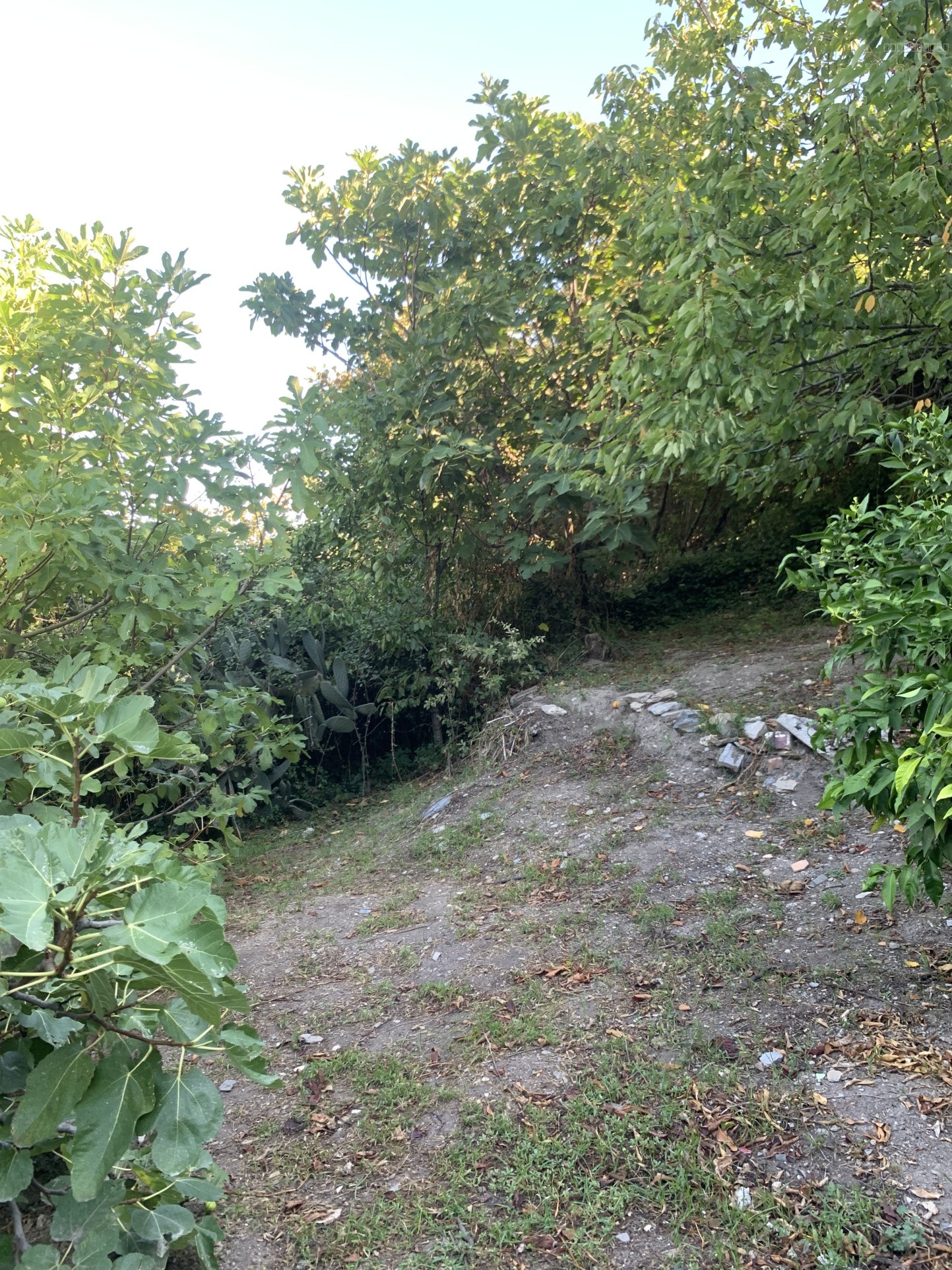 Maison De village 96 m2 — photo 13