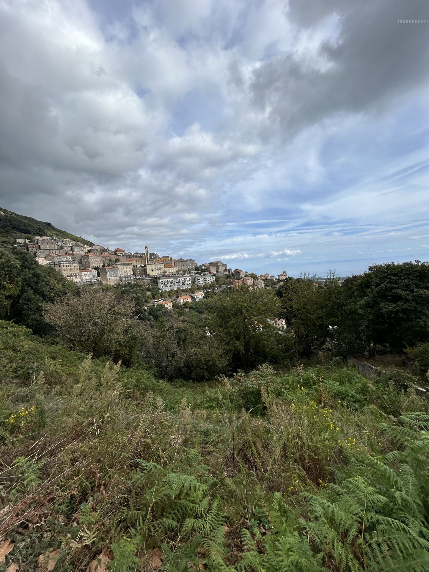 Terrain vue mer Cervione — photo 3