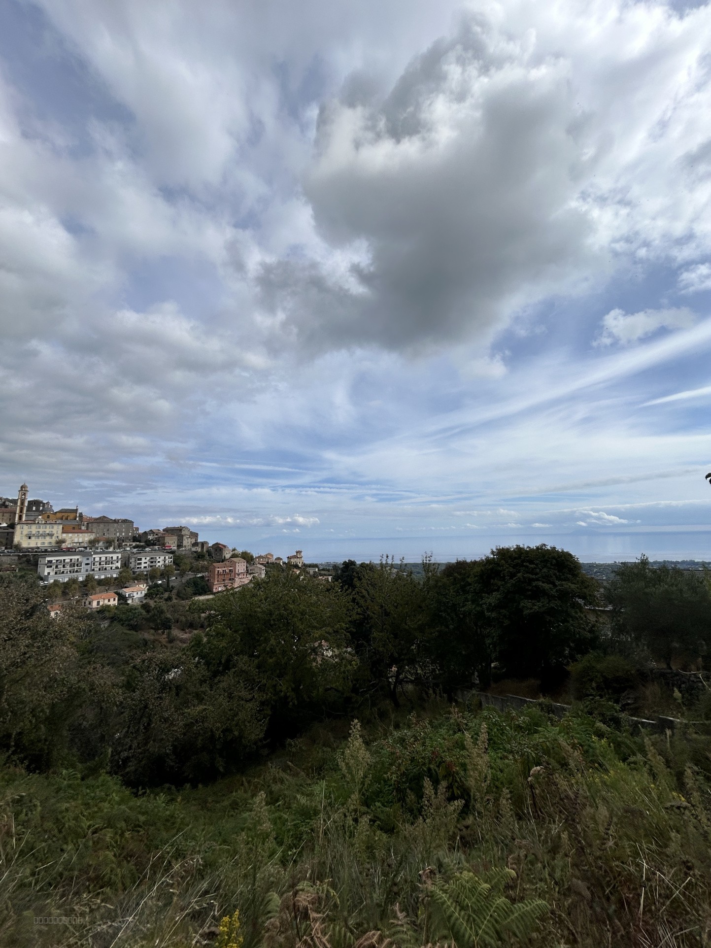 Terrain vue mer Cervione — photo 2