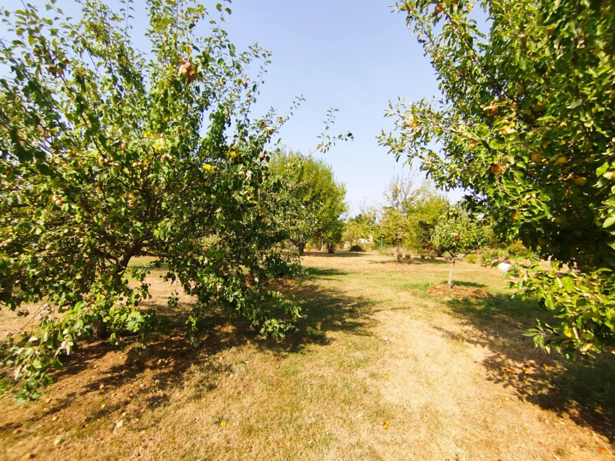 CUSSET, ENVIRONNEMENT CHAMPETRE, JOLIE LONGERE RENOVEE — photo 16