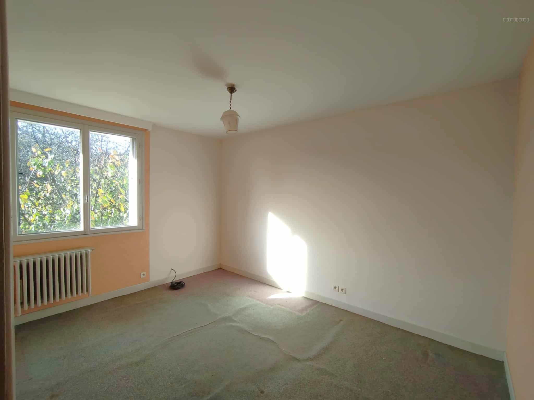 CREUZIER LE VIEUX, MAISON FAMILIALE AVEC JOLI JARDIN ARBORE — photo 9