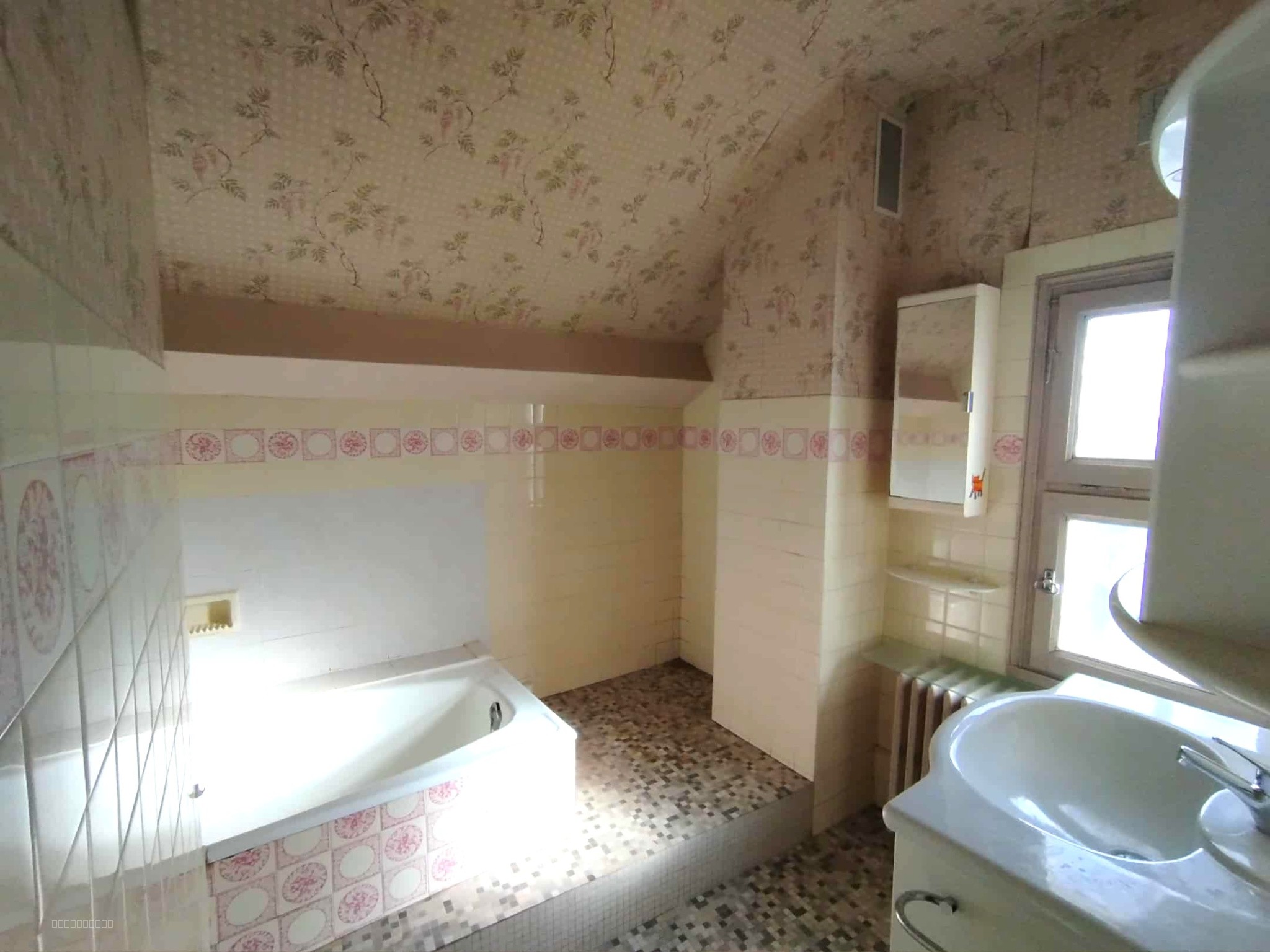 CREUZIER LE VIEUX, MAISON FAMILIALE AVEC JOLI JARDIN ARBORE — photo 10