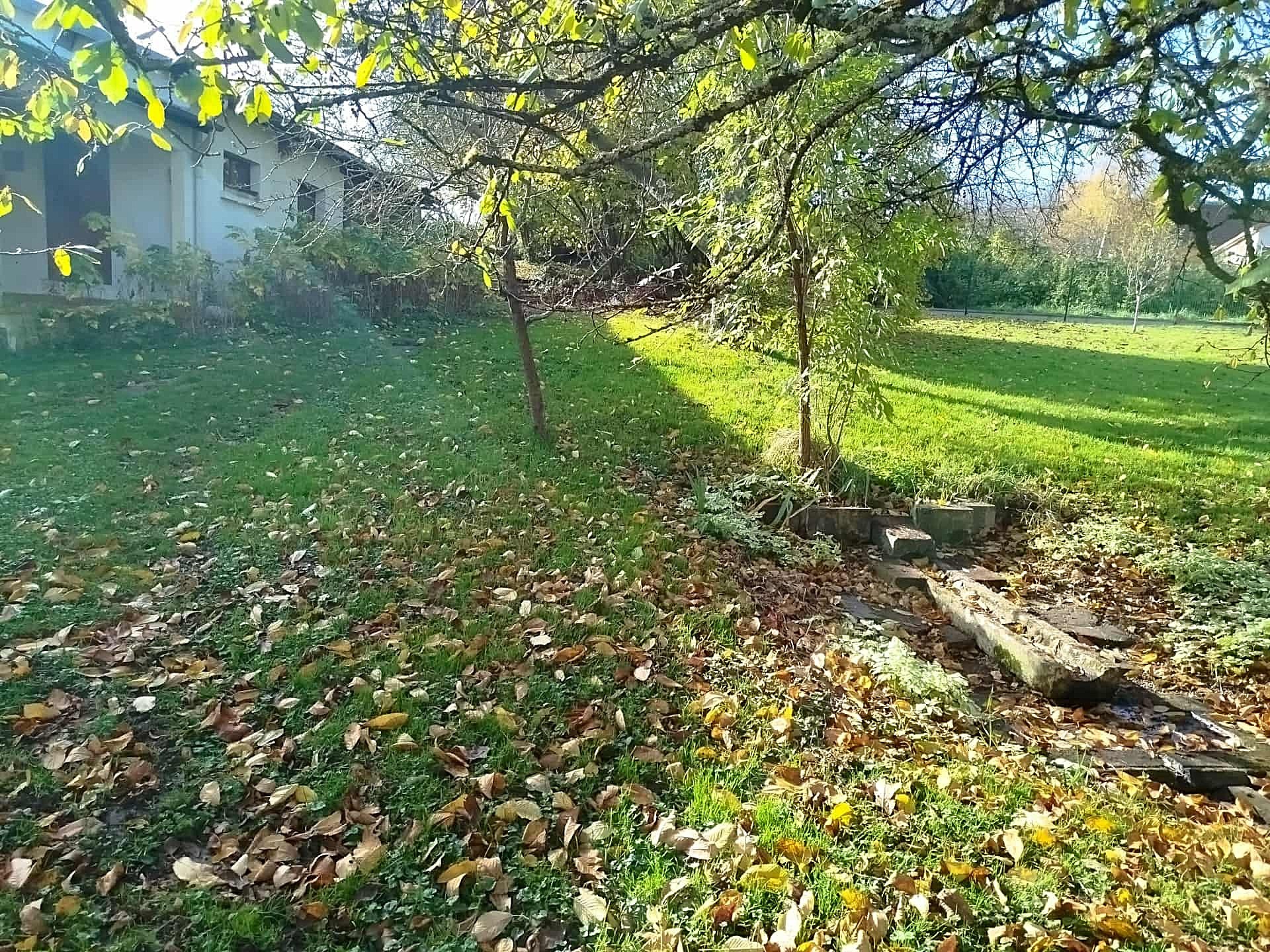 CREUZIER LE VIEUX, MAISON FAMILIALE AVEC JOLI JARDIN ARBORE — photo 12