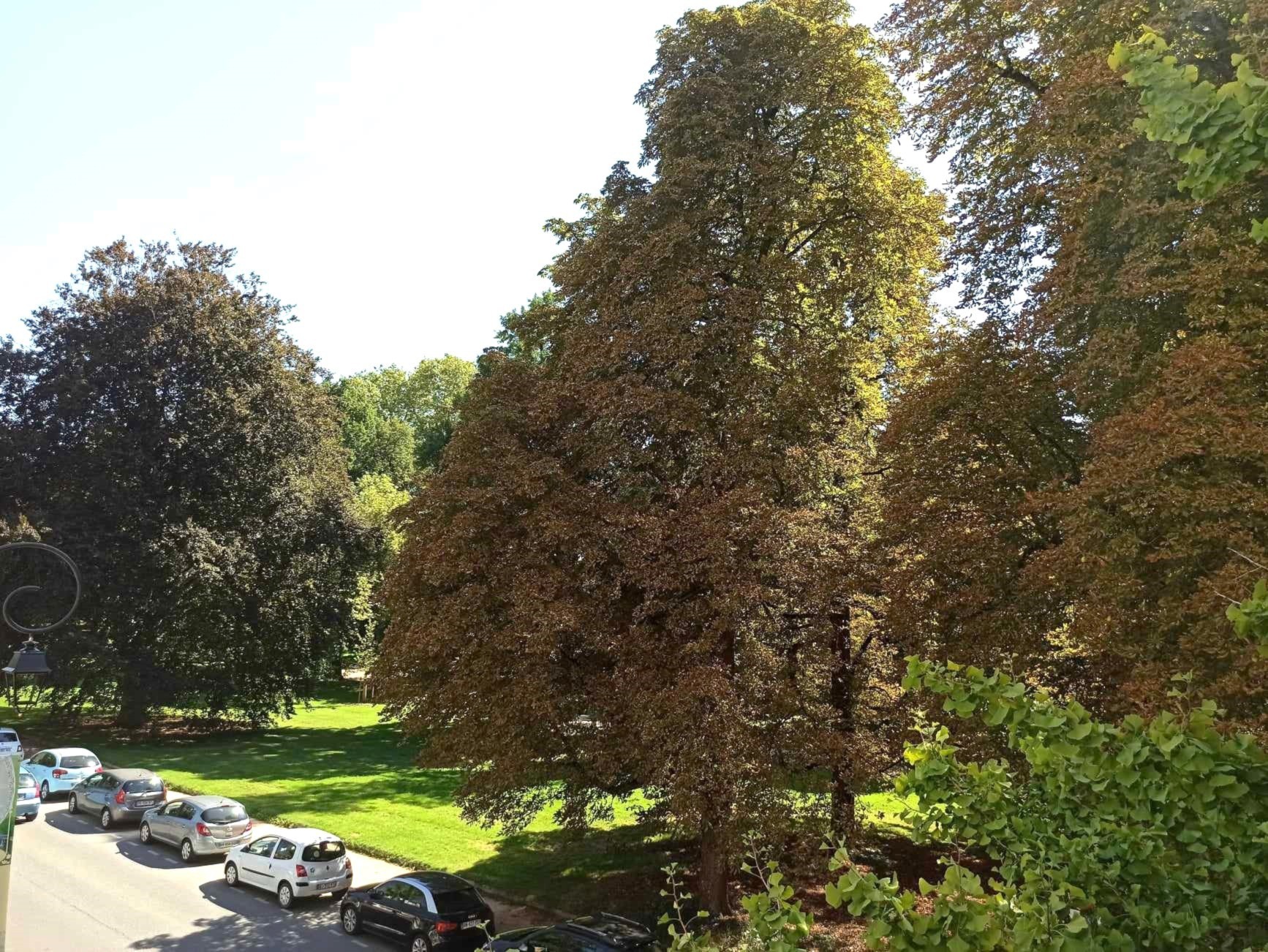 VICHY PARCS, BEL APPARTEMENT — photo 10