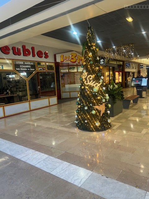 CESSION DE PARTS SOCIALES   LOCAL COMMERCIAL 157 m2   CENTRE COMMERCIAL GRAND SUD — photo 9