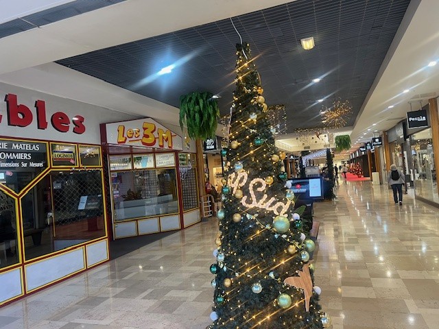 CESSION DE PARTS SOCIALES   LOCAL COMMERCIAL 157 m2   CENTRE COMMERCIAL GRAND SUD — photo 4