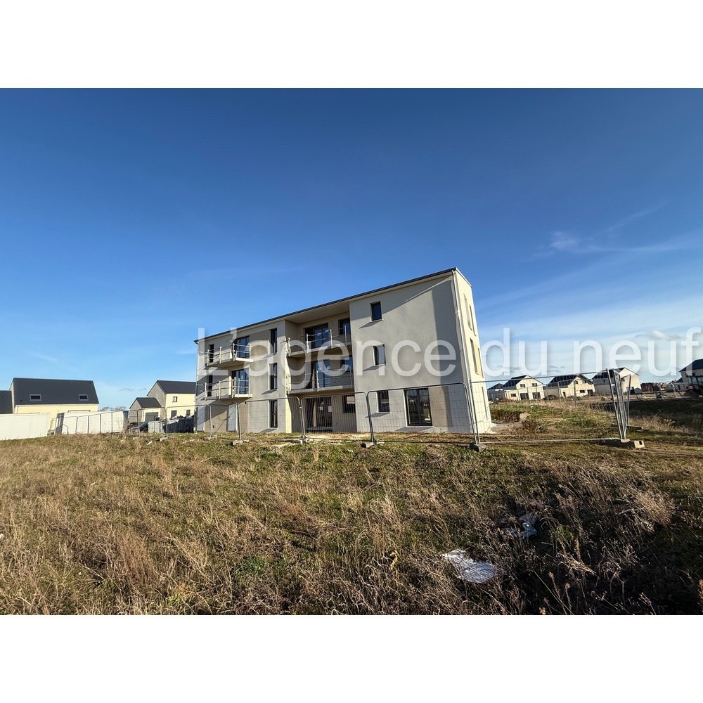 49 m2 — photo 5