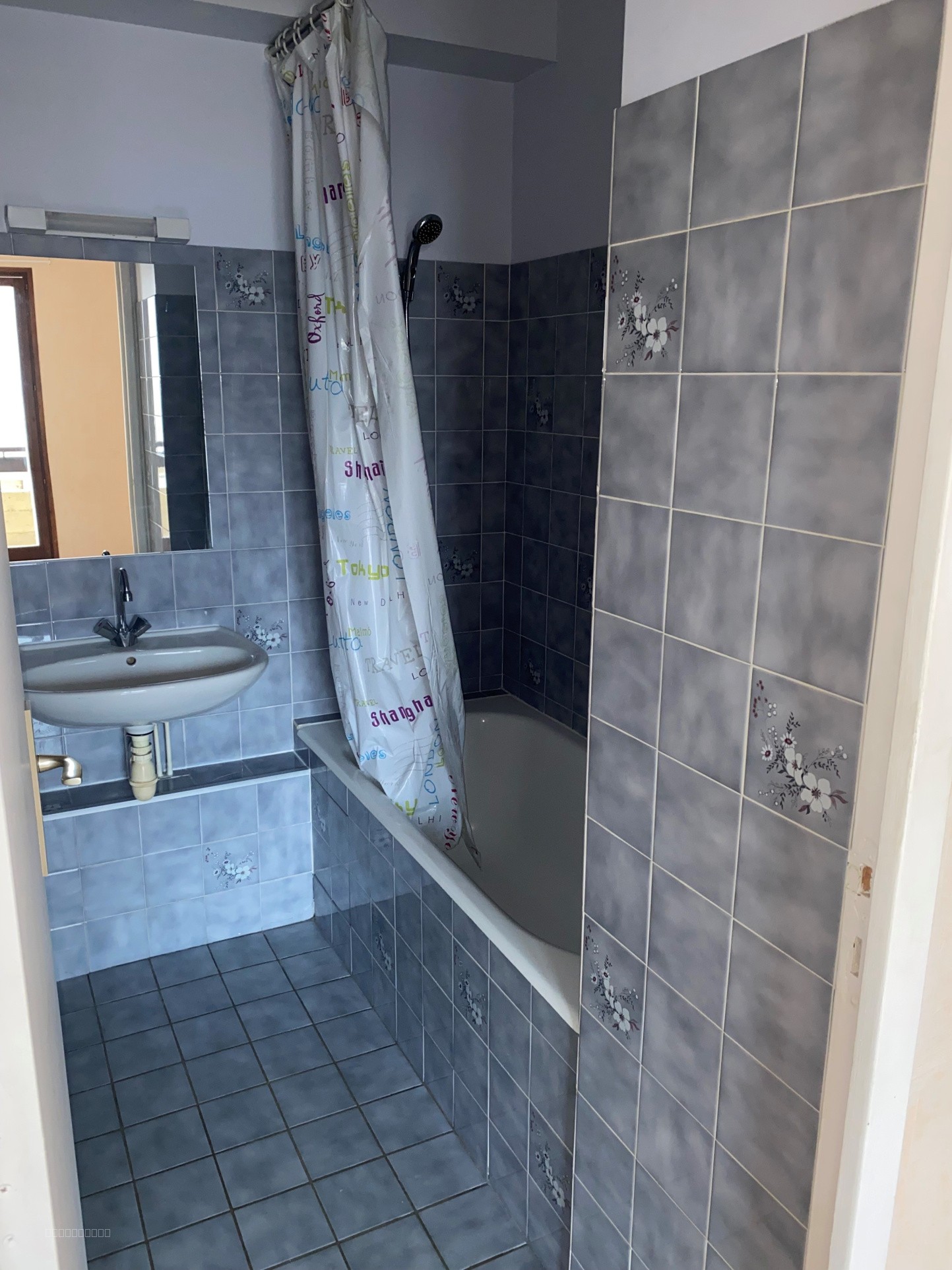 TYPE 1 BIS AVEC GARAGE ET BALCON PROCHE IUT — photo 6