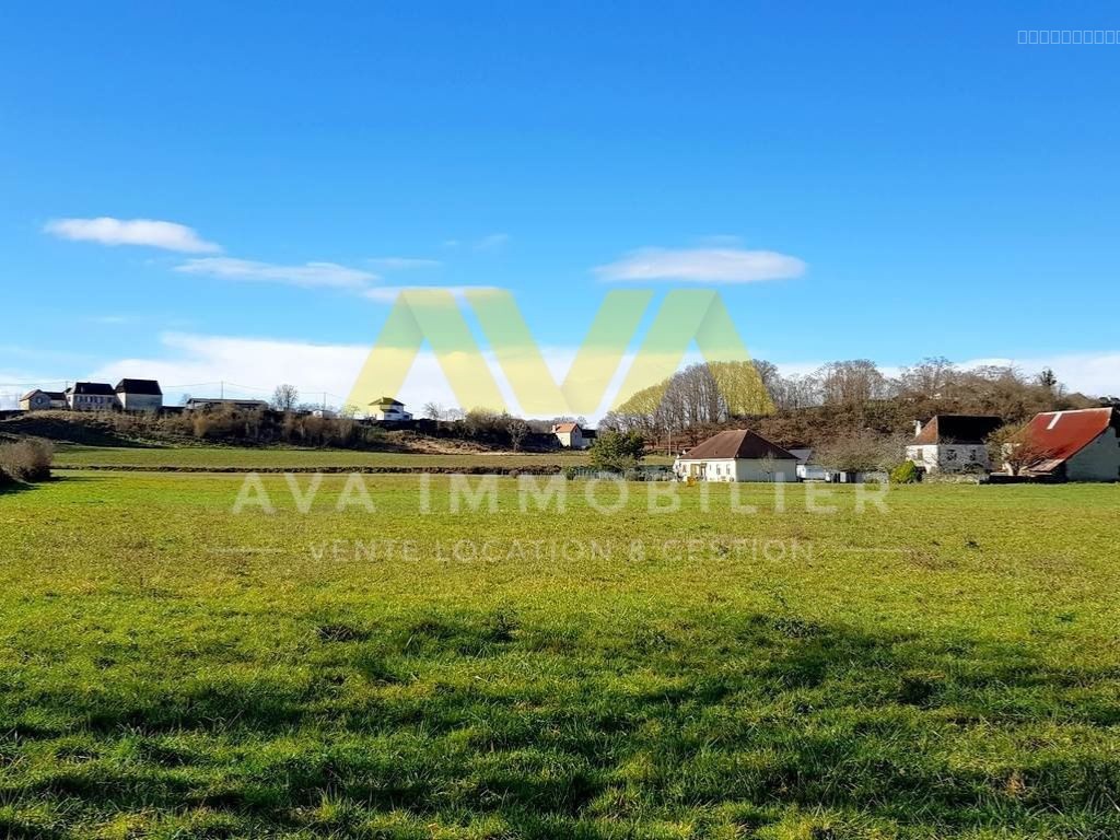 Terrain plat de 1 hectare   Idéal lotissement ou projet mixte — photo 7