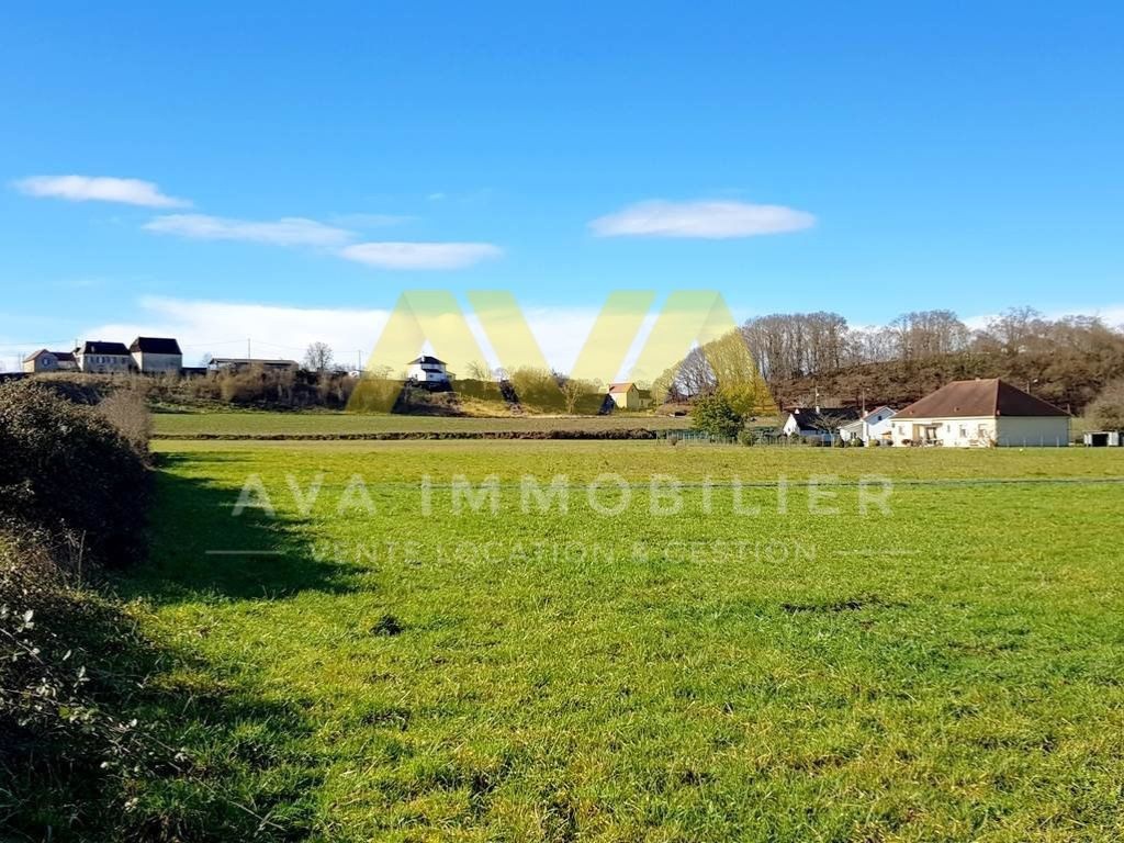 Terrain plat de 1 hectare   Idéal lotissement ou projet mixte — photo 8