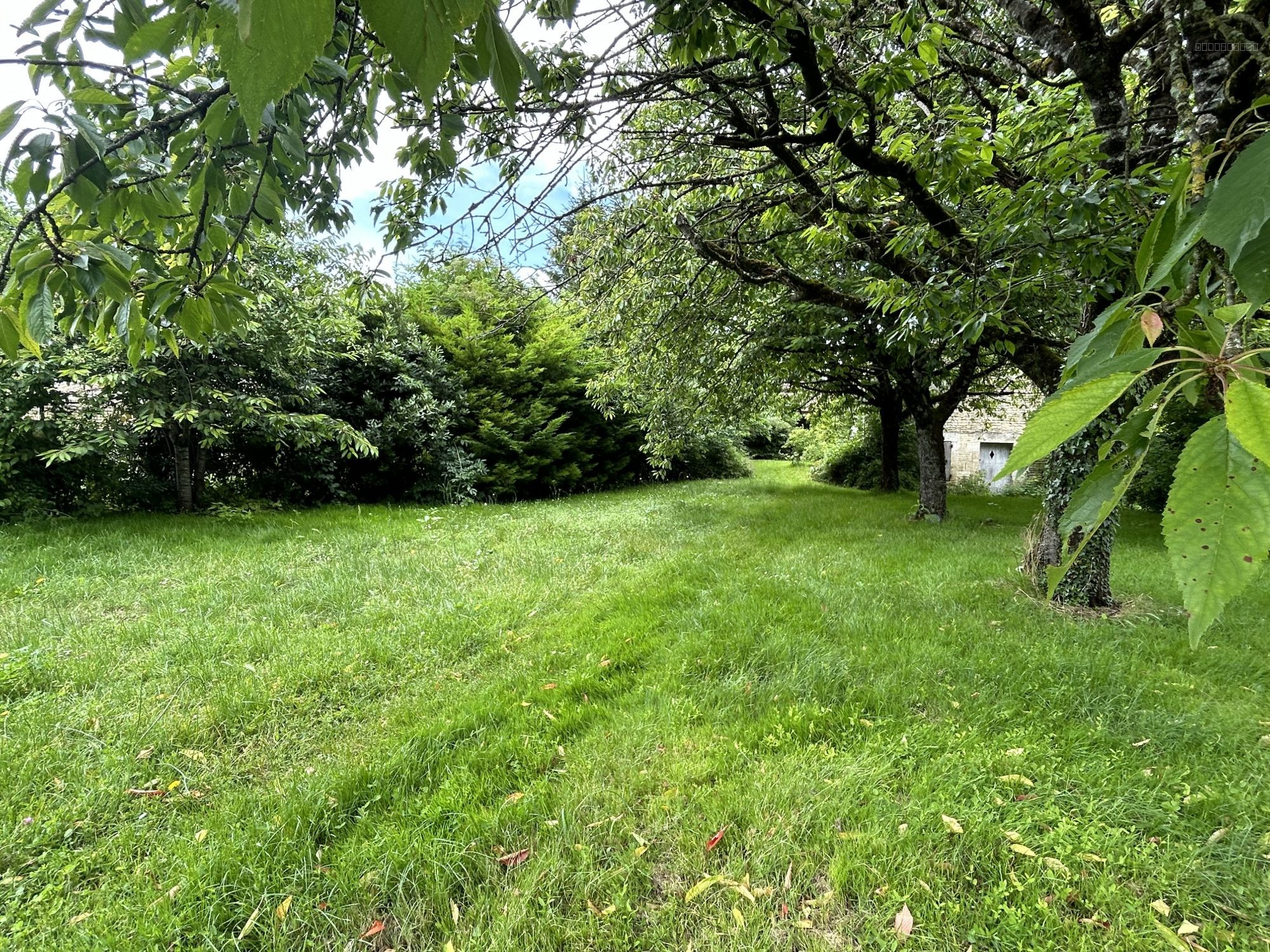 MAISON 264m2 avec dépendances — photo 17