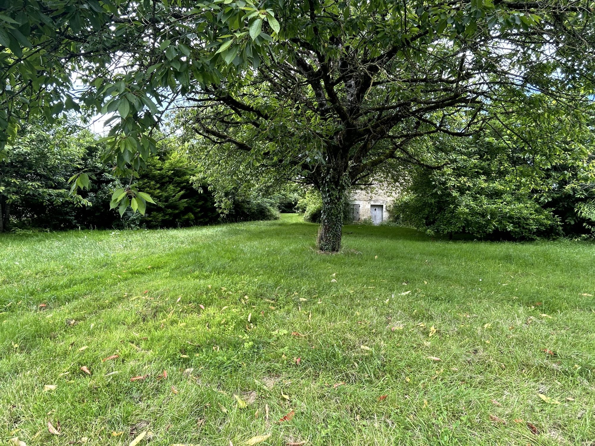 MAISON 264m2 avec dépendances — photo 12