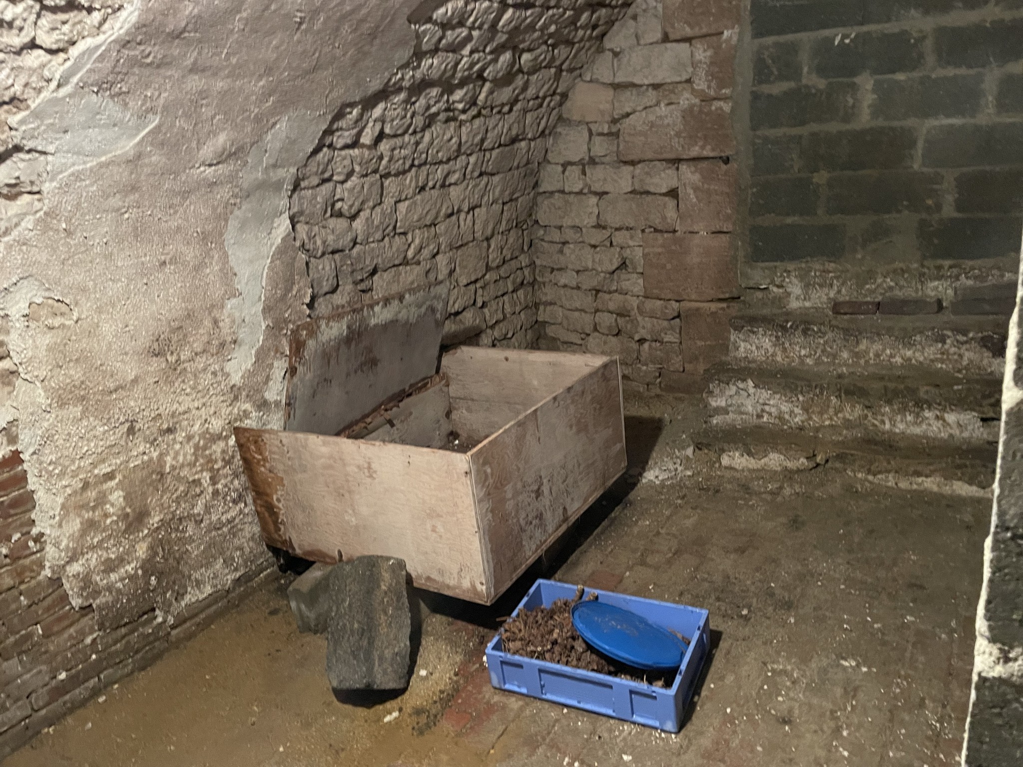 Ensemble immobilier 2 habitations — photo 14