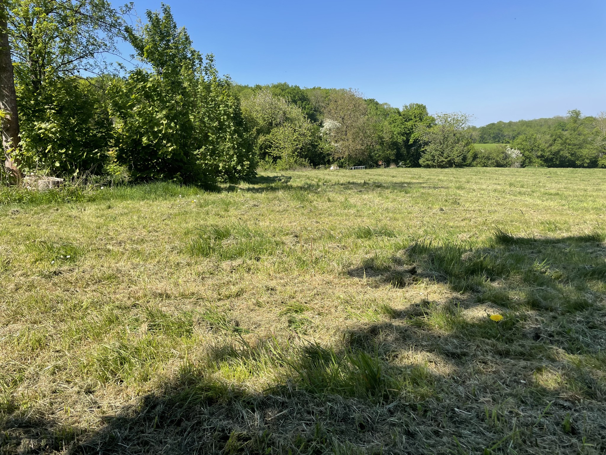 Superbe propriété avec 22000 m2 de terrain — photo 6