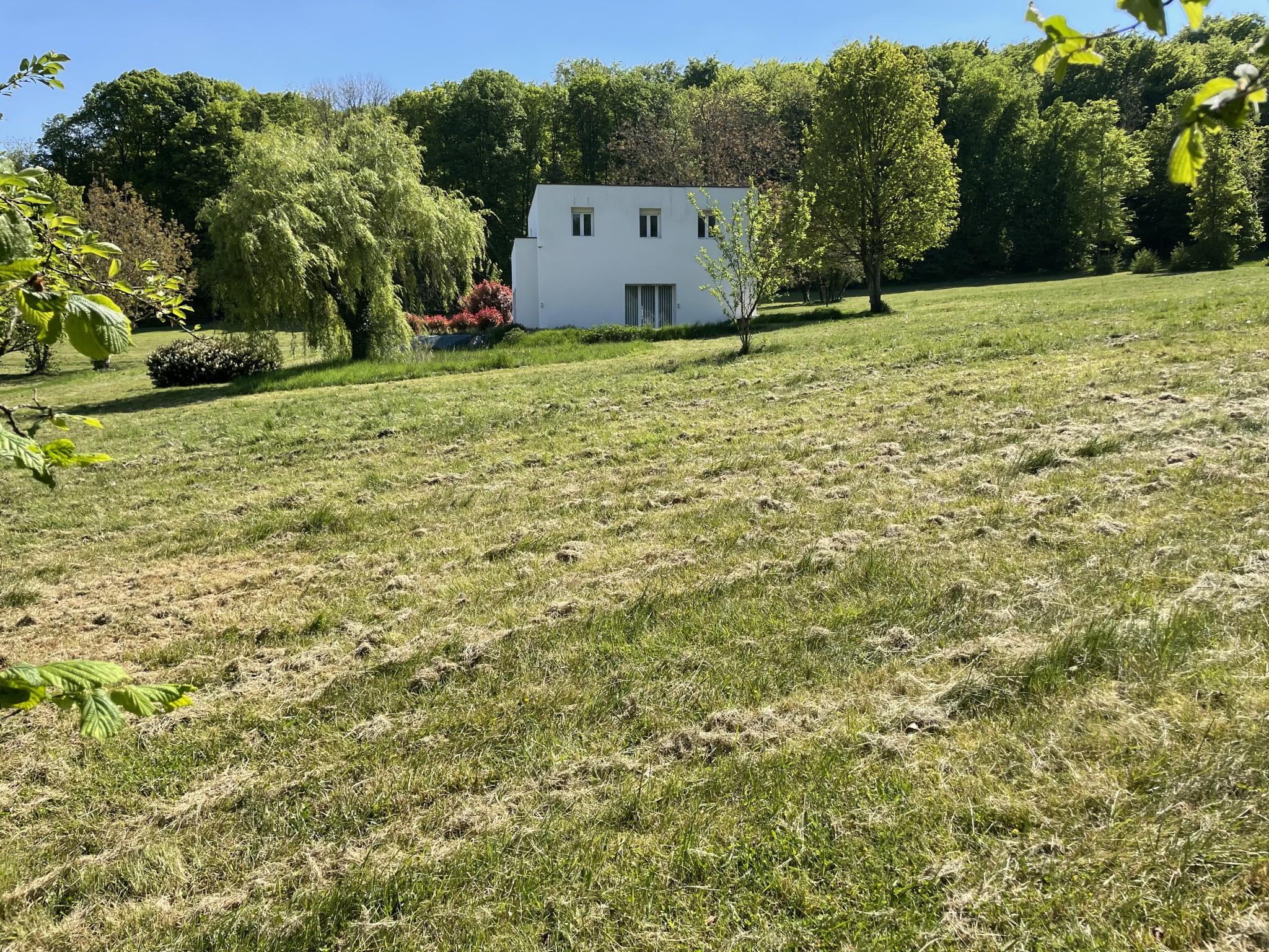 Superbe propriété avec 22000 m2 de terrain — photo 5