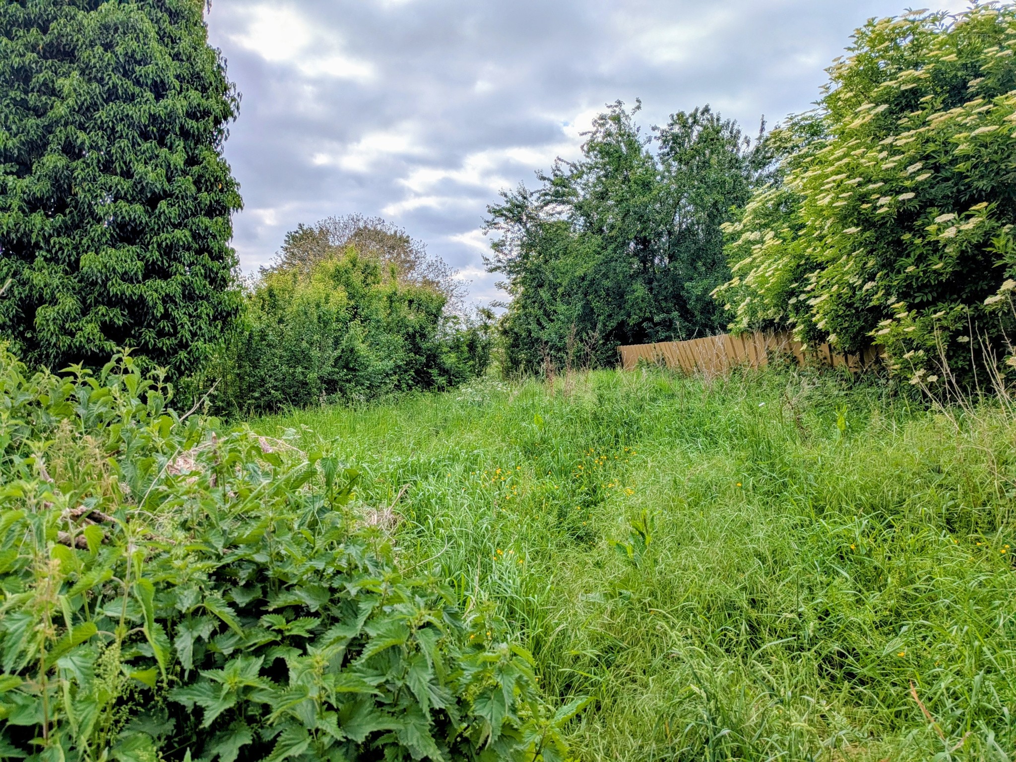 Lormaison : terrain à bâtir de 1234m2 en vente