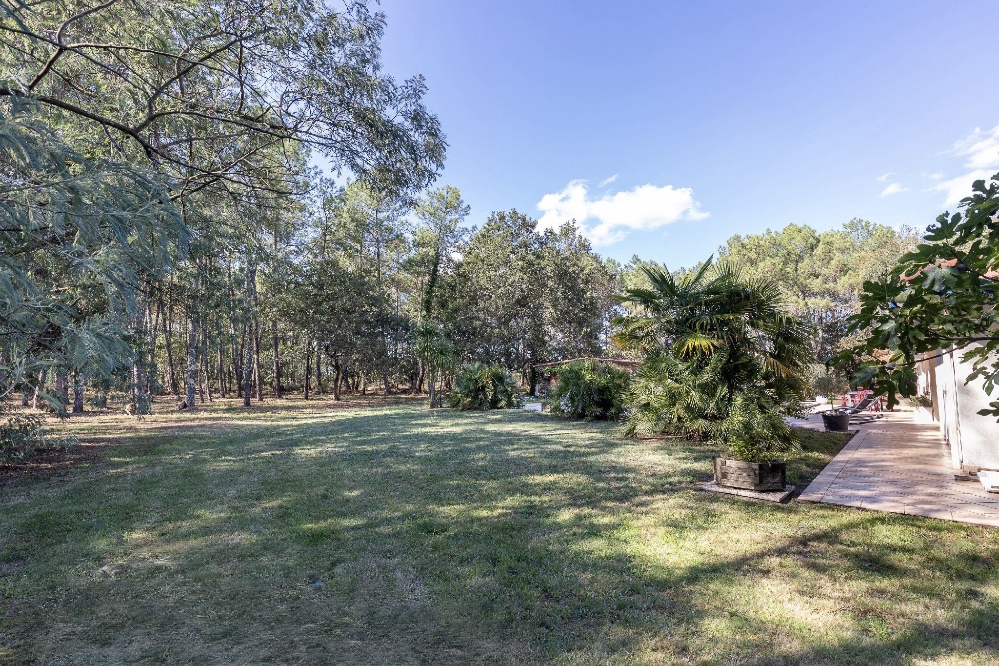Maison à vendre à Herm   300 m2, 6 chambres, piscine et 3,9 ha de terrain   L’Agence des Dunes — photo 2