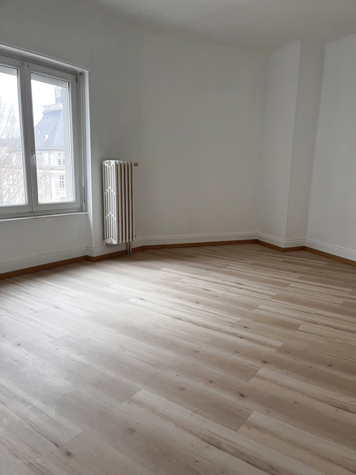 Appartement F4/5 - Mulhouse-centre — photo 10