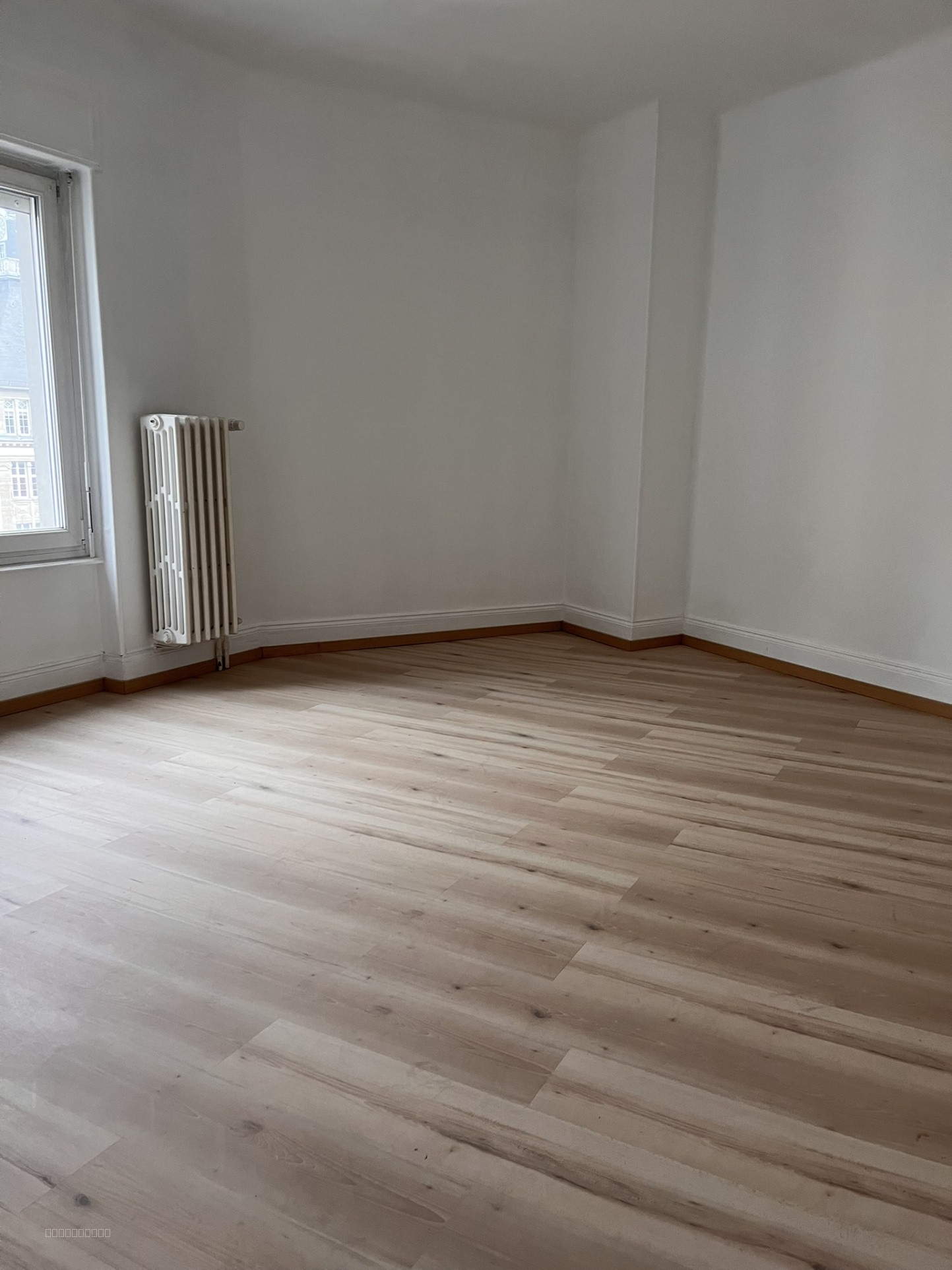 Appartement F4/5 - Mulhouse-centre — photo 6