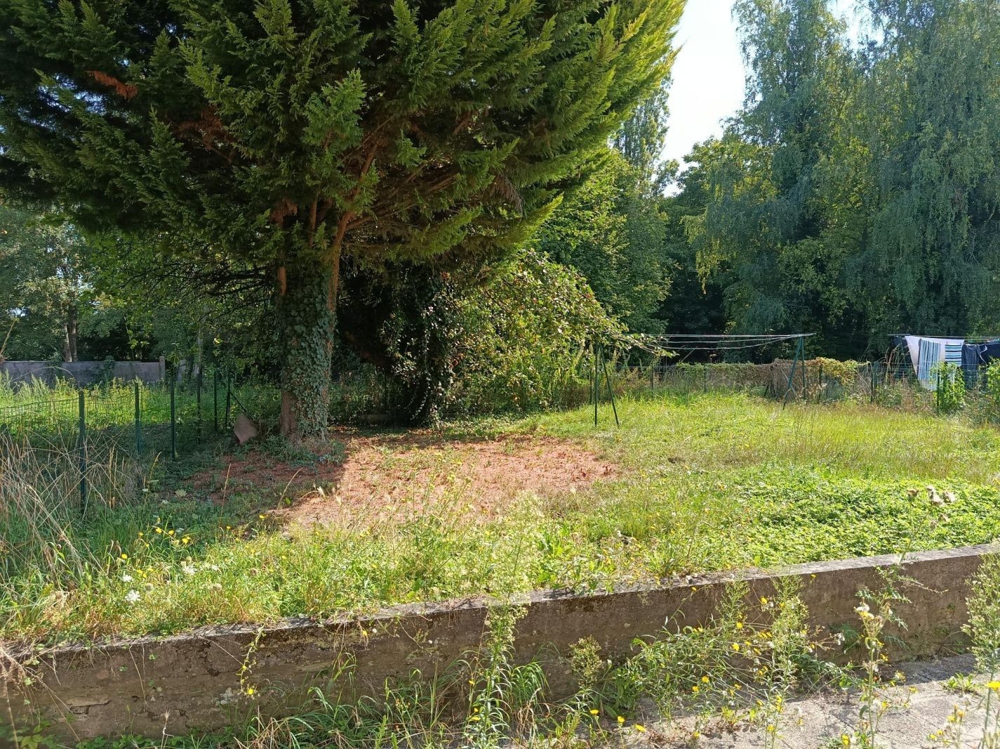 maison Dieuze — photo 4