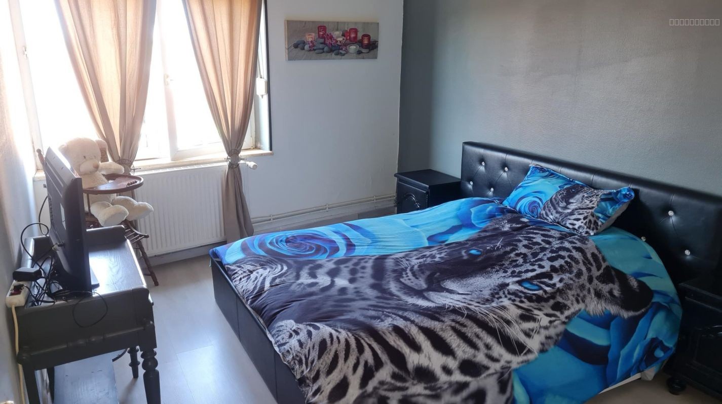appartement Francaltroff — photo 7