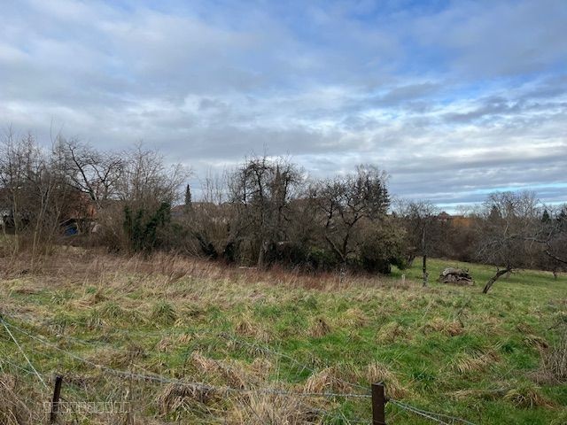 terrain Petitmont — photo 2