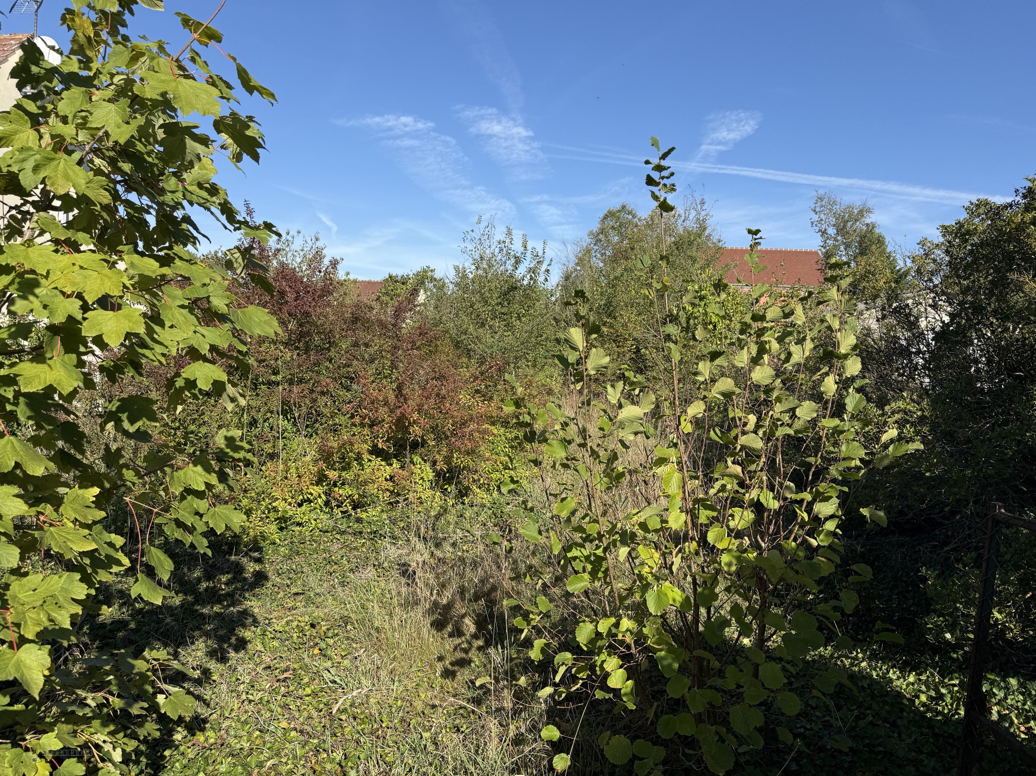 Terrain à bâtir — photo 2