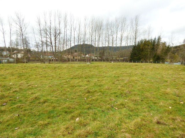 terrain Moyenmoutier — photo 3