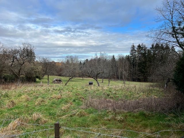 terrain Petitmont — photo 3