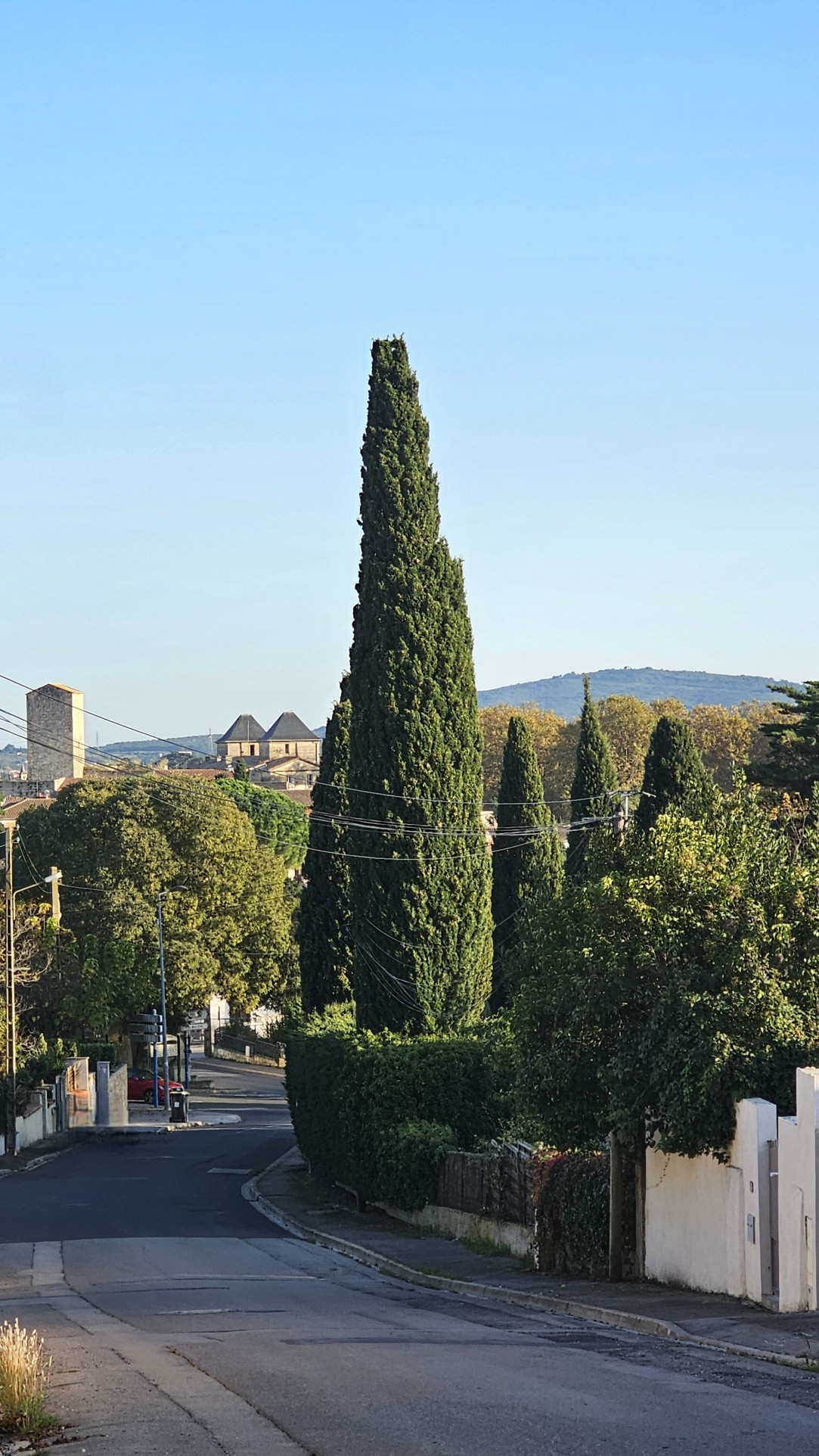 Grand terrain constructible 1352 m2- Quartier prisé sur les hauteurs de Pignan — photo 3