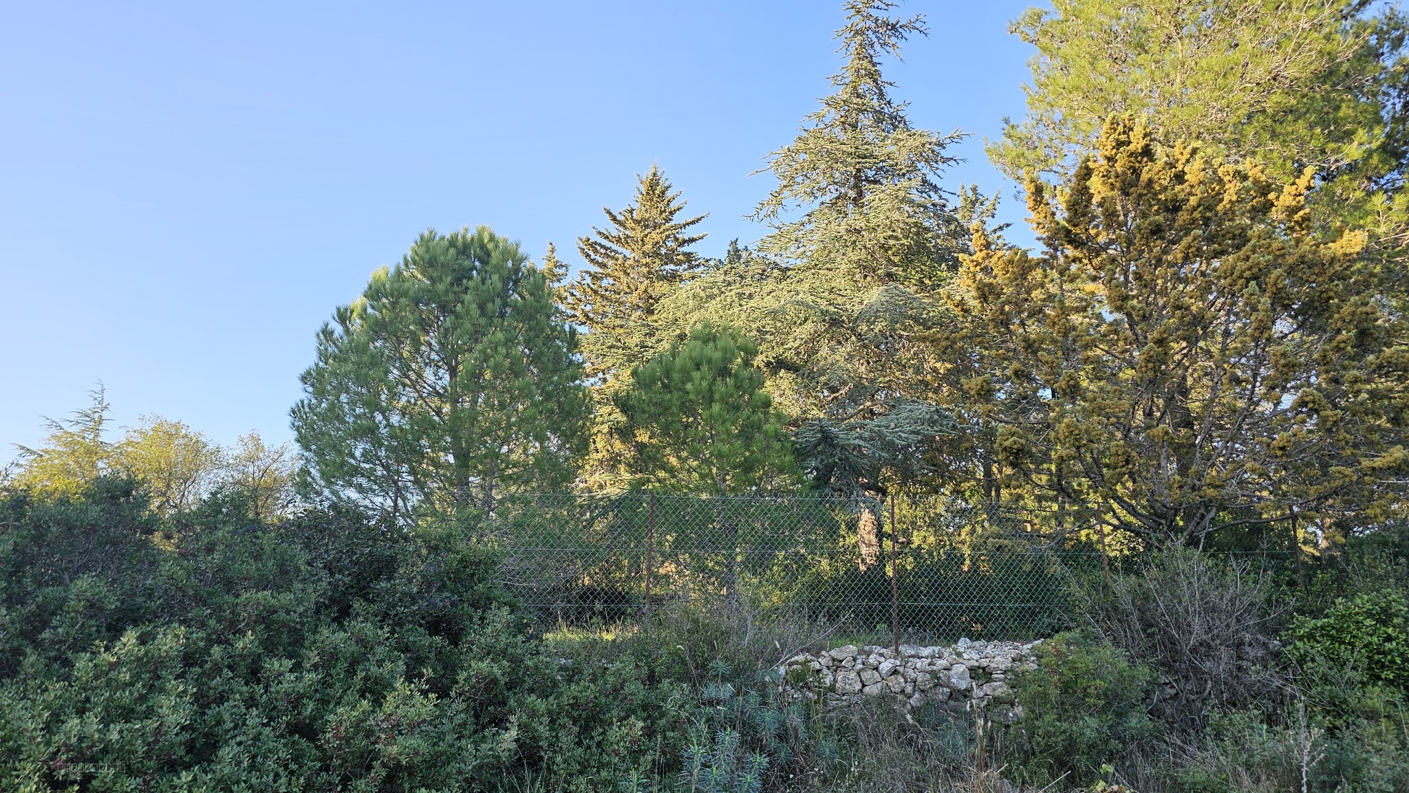 Grand terrain constructible 1352 m2- Quartier prisé sur les hauteurs de Pignan — photo 4