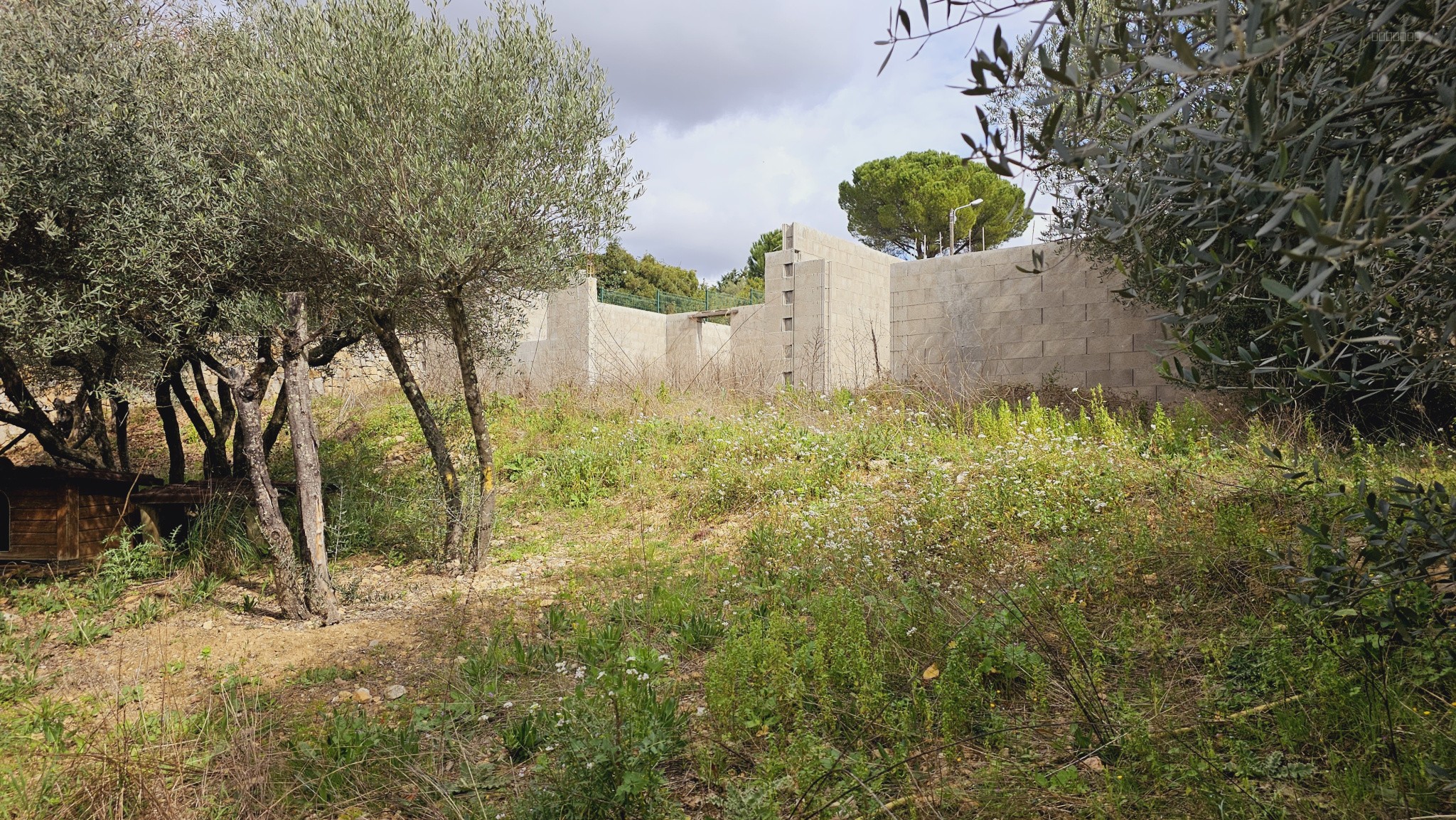 Grand terrain constructible 1352 m2- Quartier prisé sur les hauteurs de Pignan — photo 5