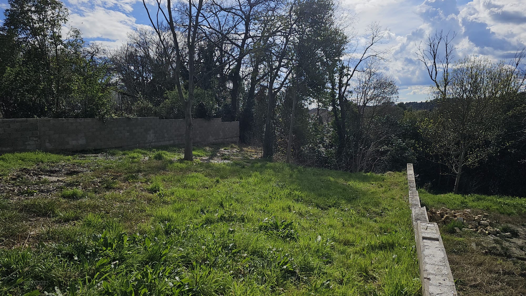 VILLEVIEILLE, BEAU TERRAIN VIABILISÉ DE 753 M2  AVEC VUE ARBORÉE, — photo 2