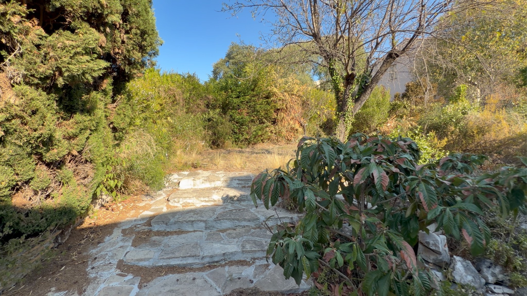 Terrain à bâtir au cœur du Crès   Rare sur le secteur ! — photo 3