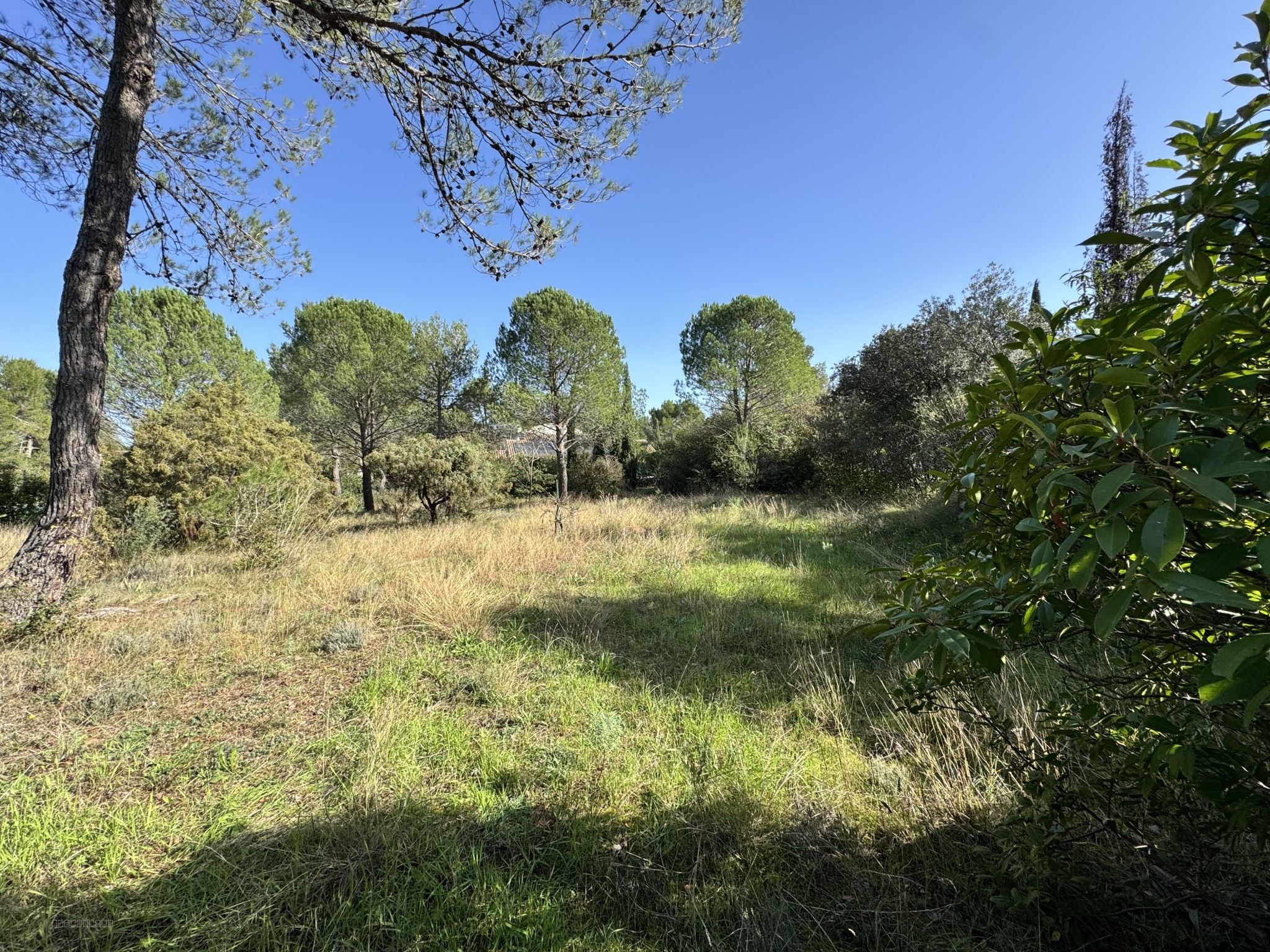 Montferrier-Sur-Lez très beau terrain à la Devèze — photo 2