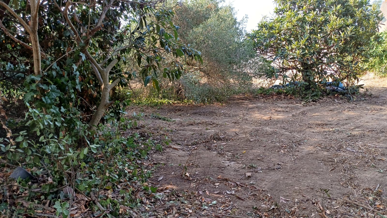 REMISE DE 121M2 - TERRAIN 785M2 -  COURSAN — photo 12