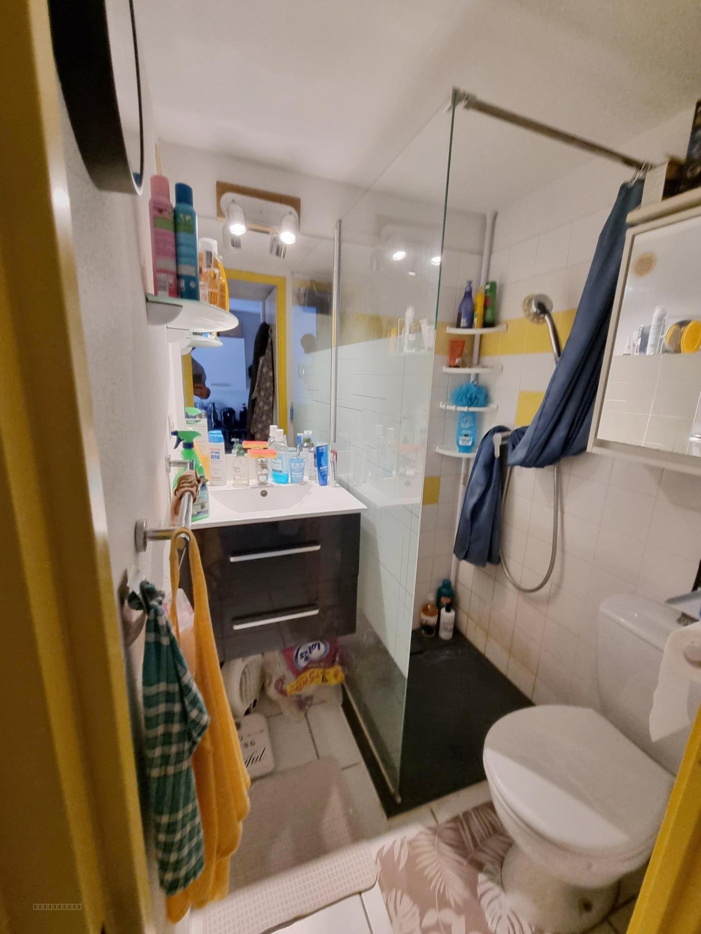 MAISON 25 M2  1 CHAMBRE + CABINE, JARDIN ET PISCINE NARBONNE PLAGE — photo 6