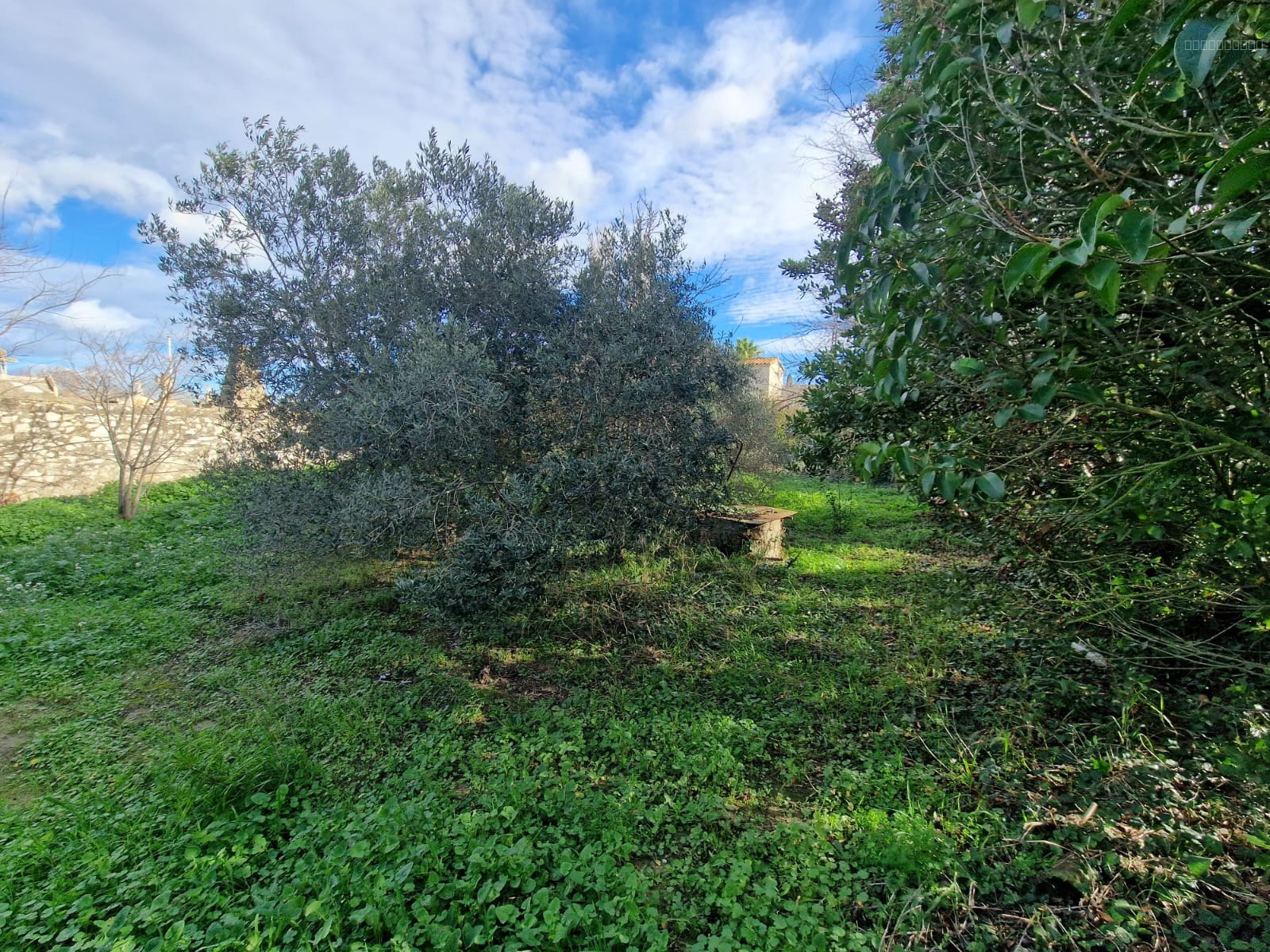 REMISE DE 121M2 - TERRAIN 785M2 -  COURSAN — photo 9