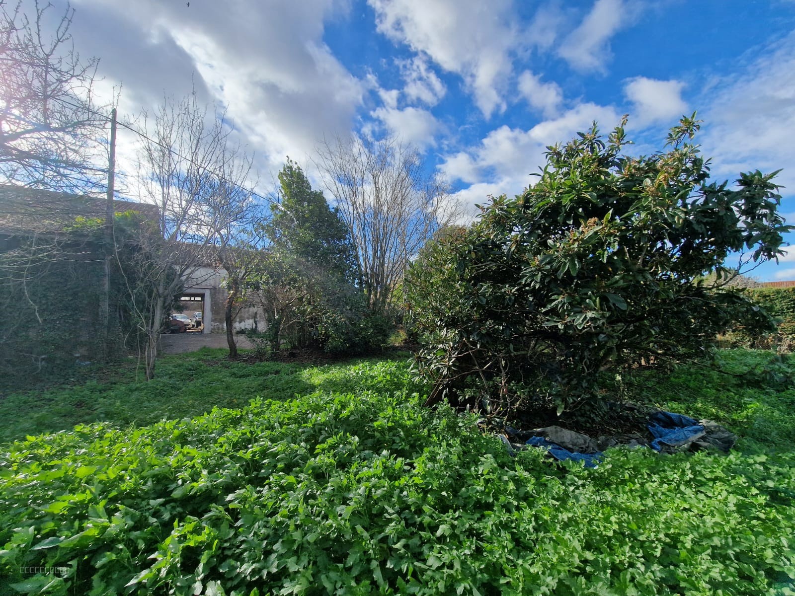 REMISE DE 121M2 - TERRAIN 785M2 -  COURSAN — photo 8