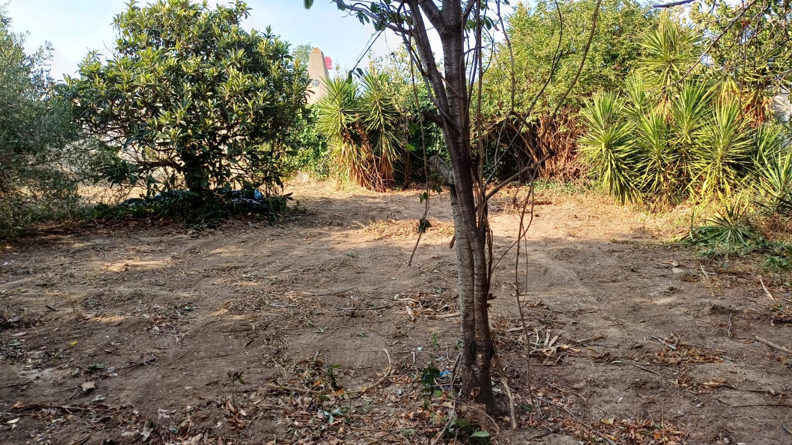 REMISE DE 121M2 - TERRAIN 785M2 -  COURSAN — photo 13