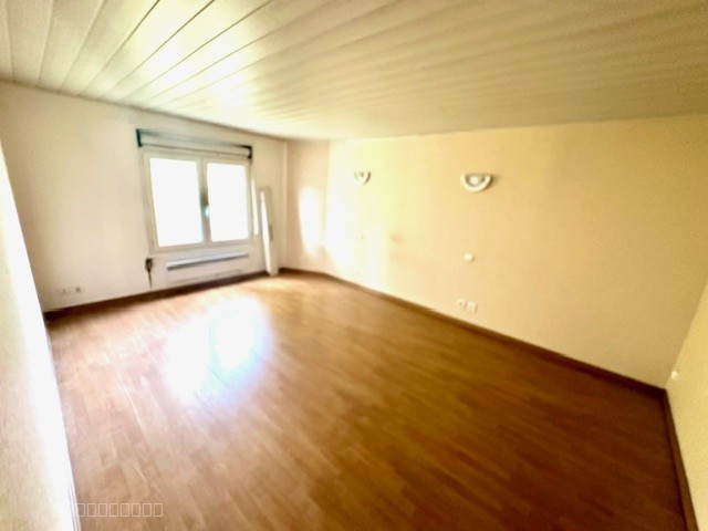 Vente Ornex 01280 Local artisanal + appartement T4 en duplex / Terrain / Parking — photo 20